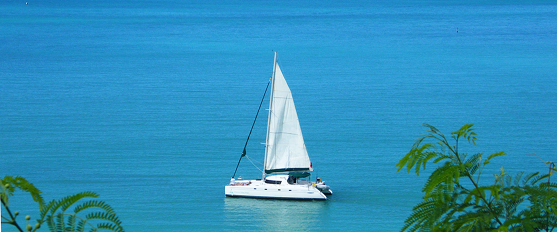 cool cat catamaran
